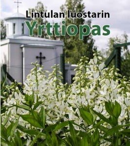 Yrttikirja etukansi