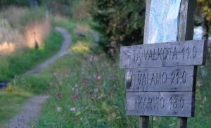 DSC_6761 (2)