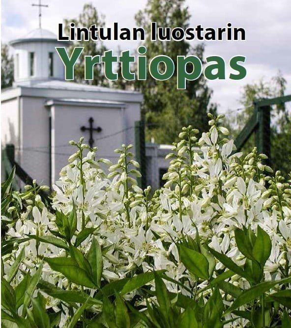 Lintulan luostarin Yrttiopas