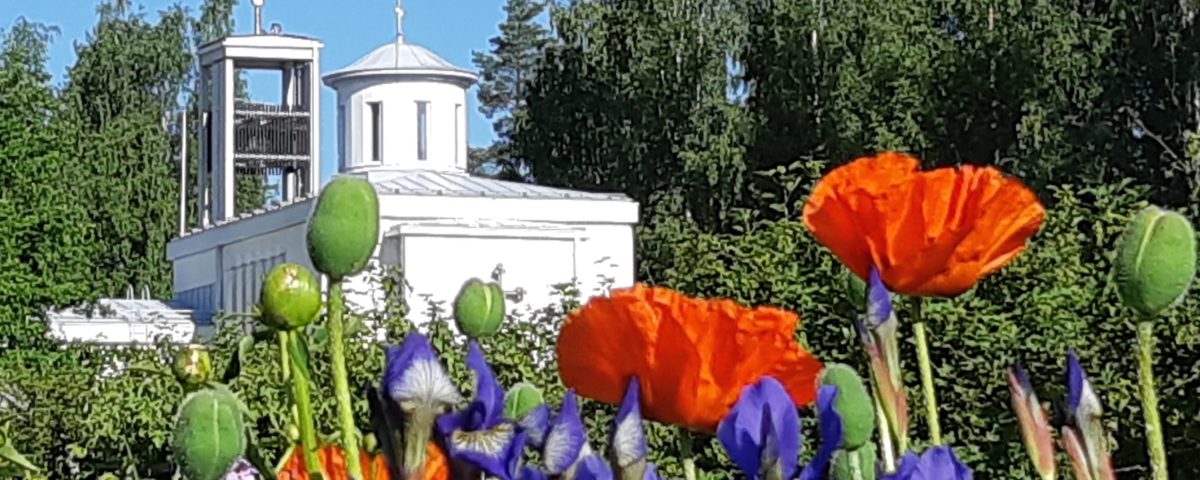 Lintulan kirkko. Ulokuva alttaripäädystä. Etualalla punaisia unikoita ja sisisiä iiriksiä.