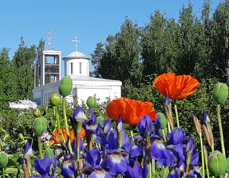 Lintulan kirkko. Ulokuva alttaripäädystä. Etualalla punaisia unikoita ja sisisiä iiriksiä.